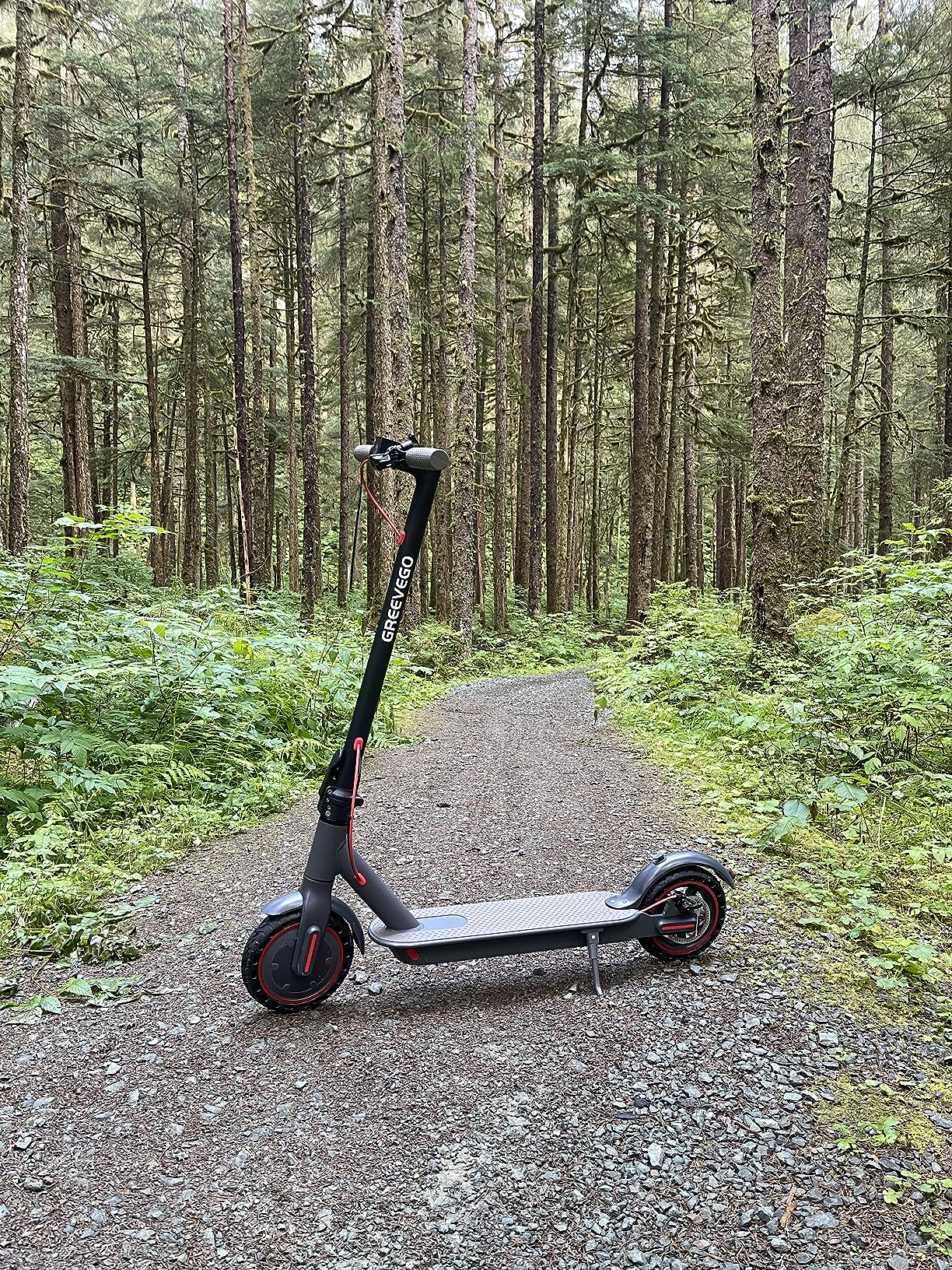 Greevego electric scooter rider photo 6